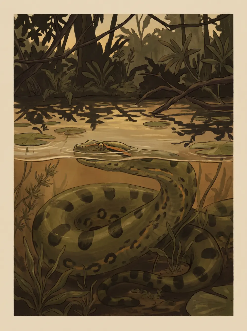 Anaconda
