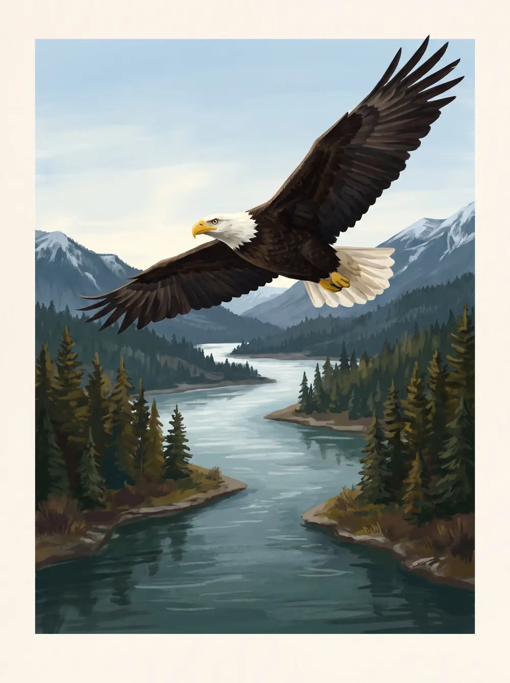 Bald eagle