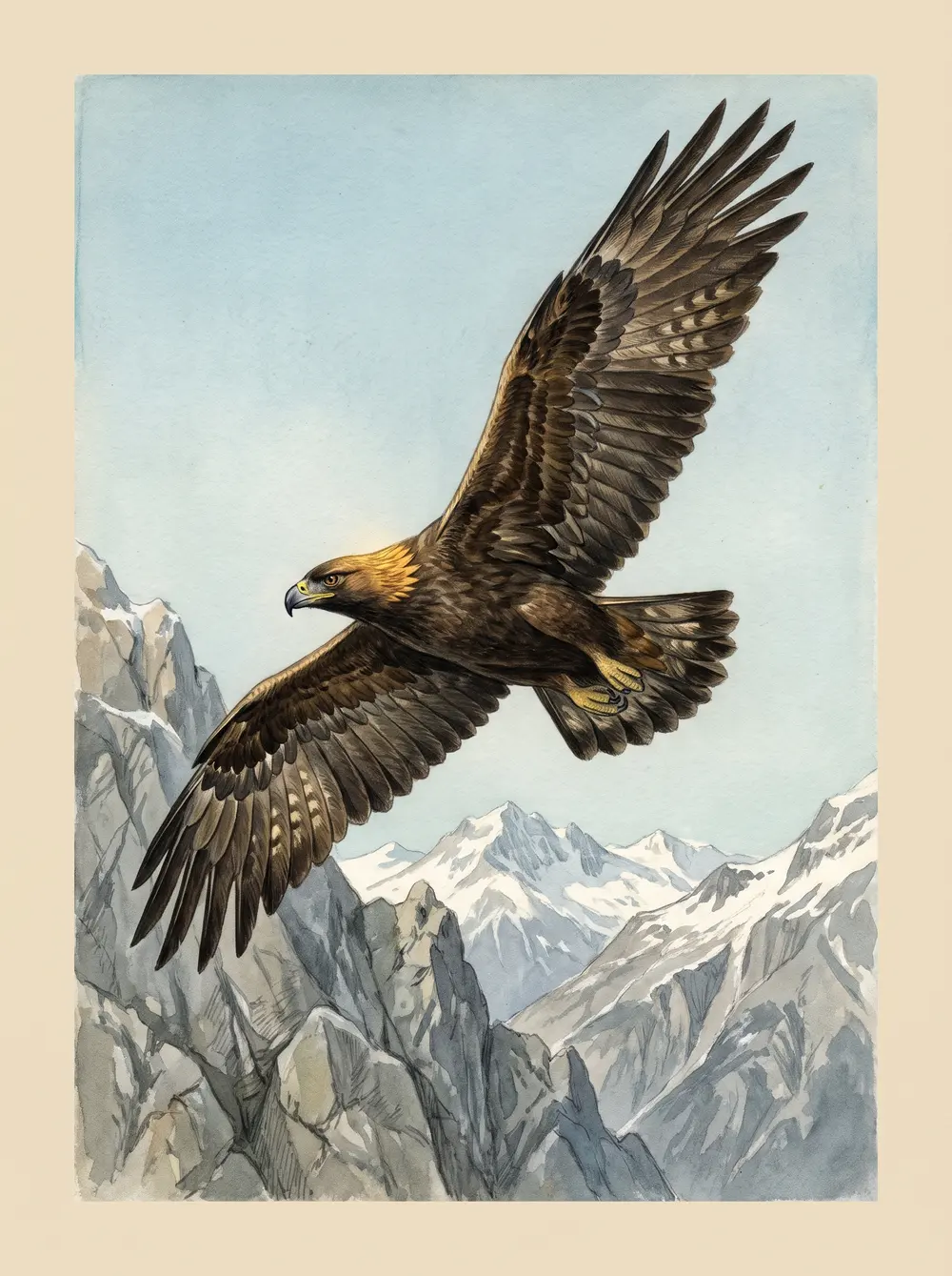 Golden eagle