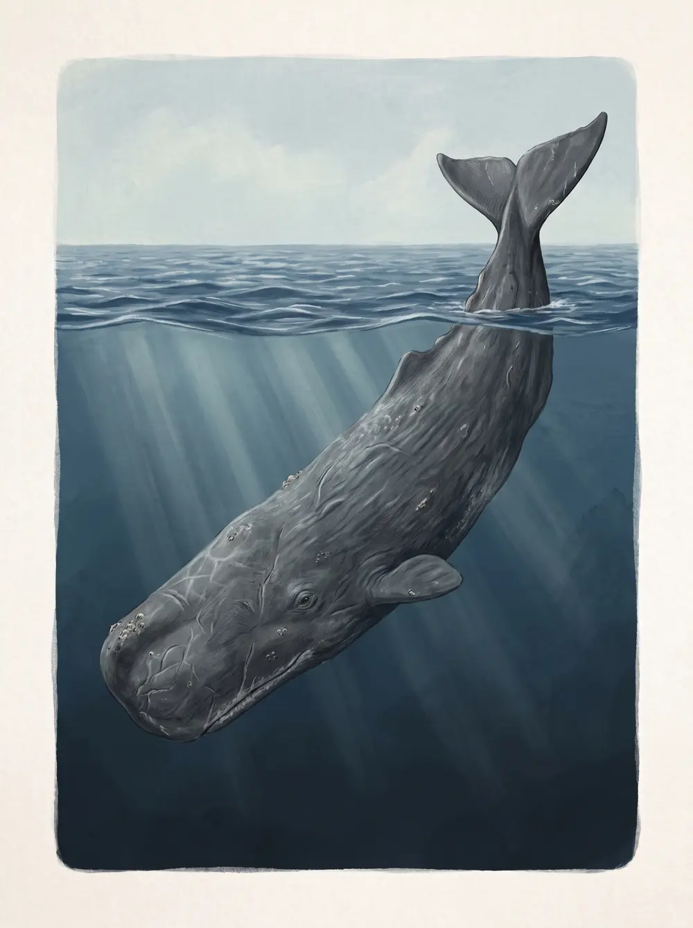 Sperm whale