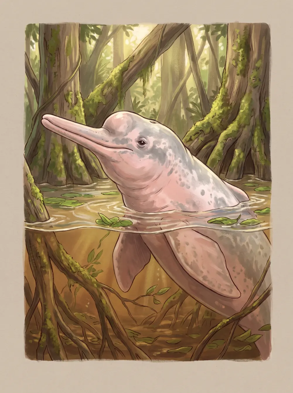 Amazon river dolphin