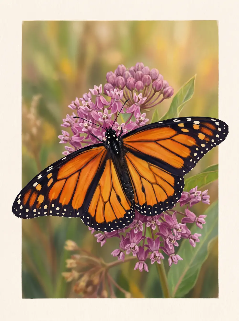 Monarch butterfly