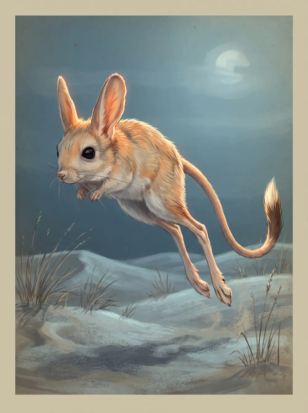 Jerboa
