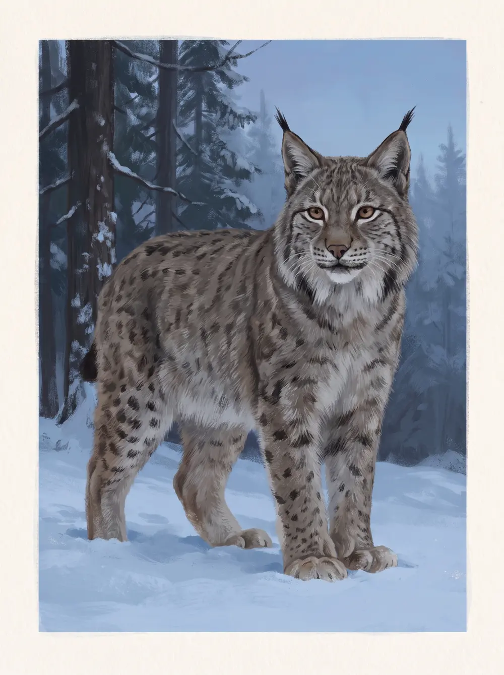 Lynx
