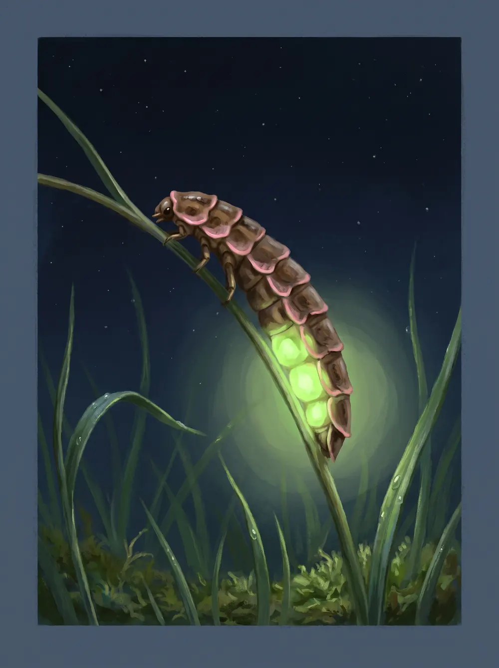 Glowworm