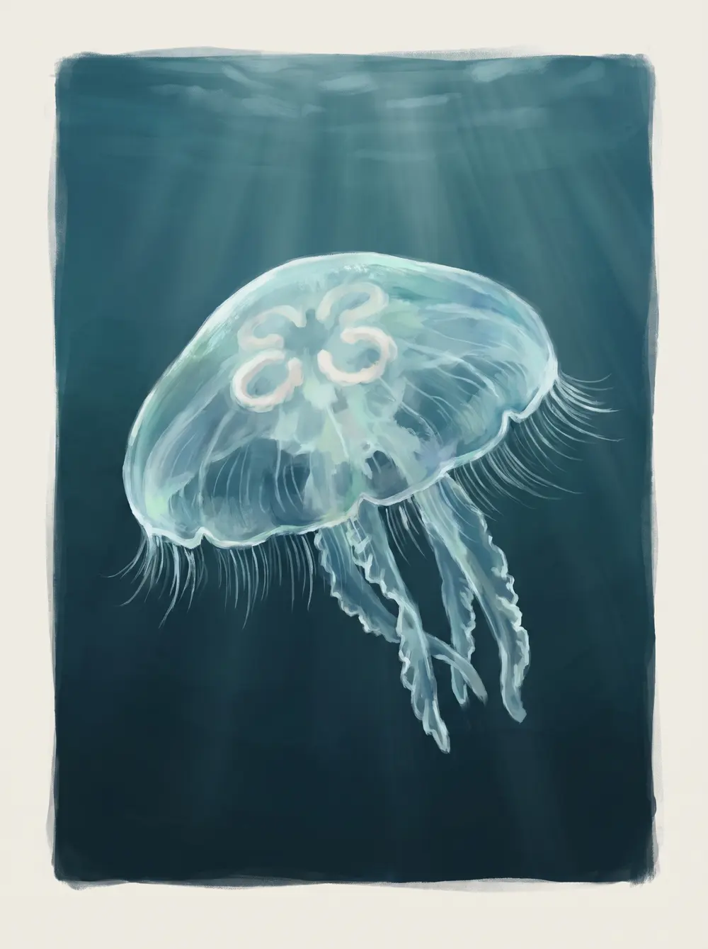 Jellyfish
