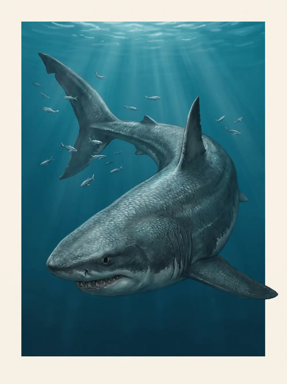 Megalodon