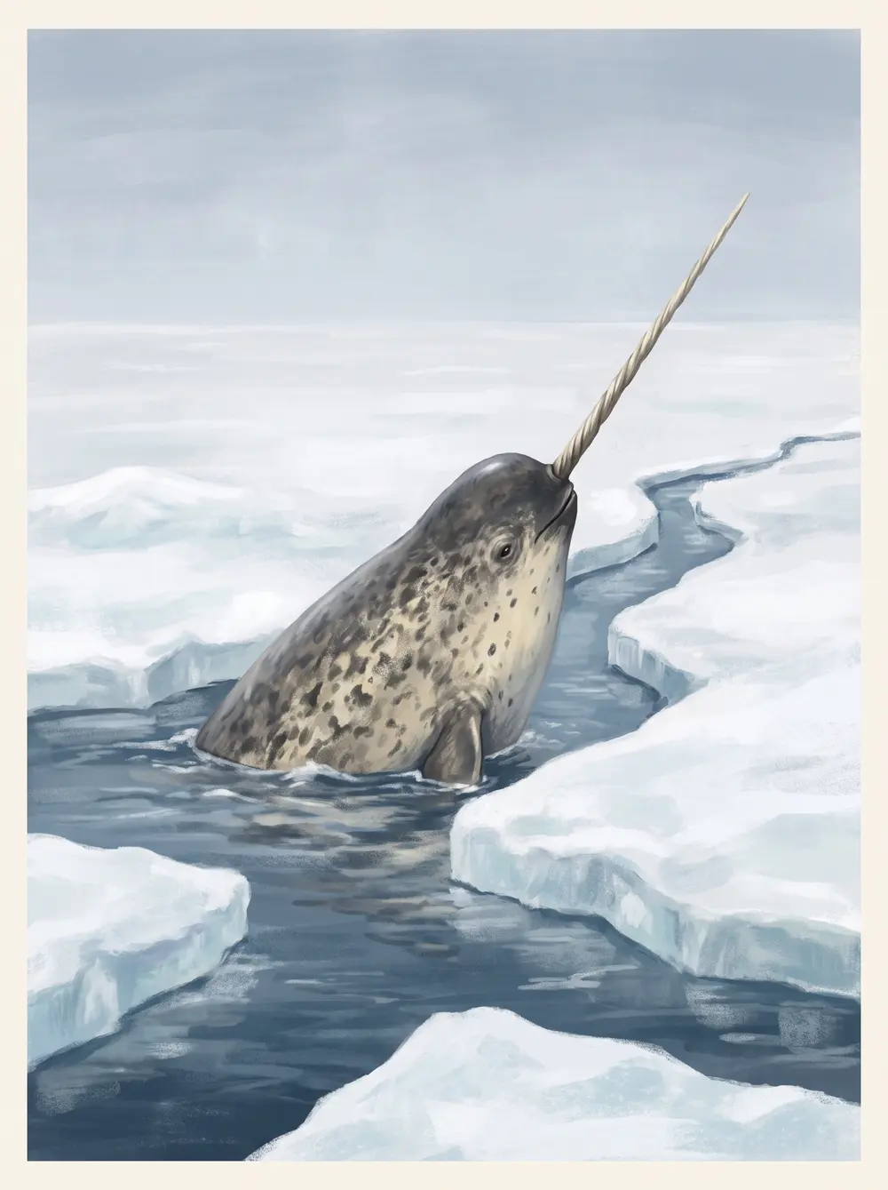 Narwhal