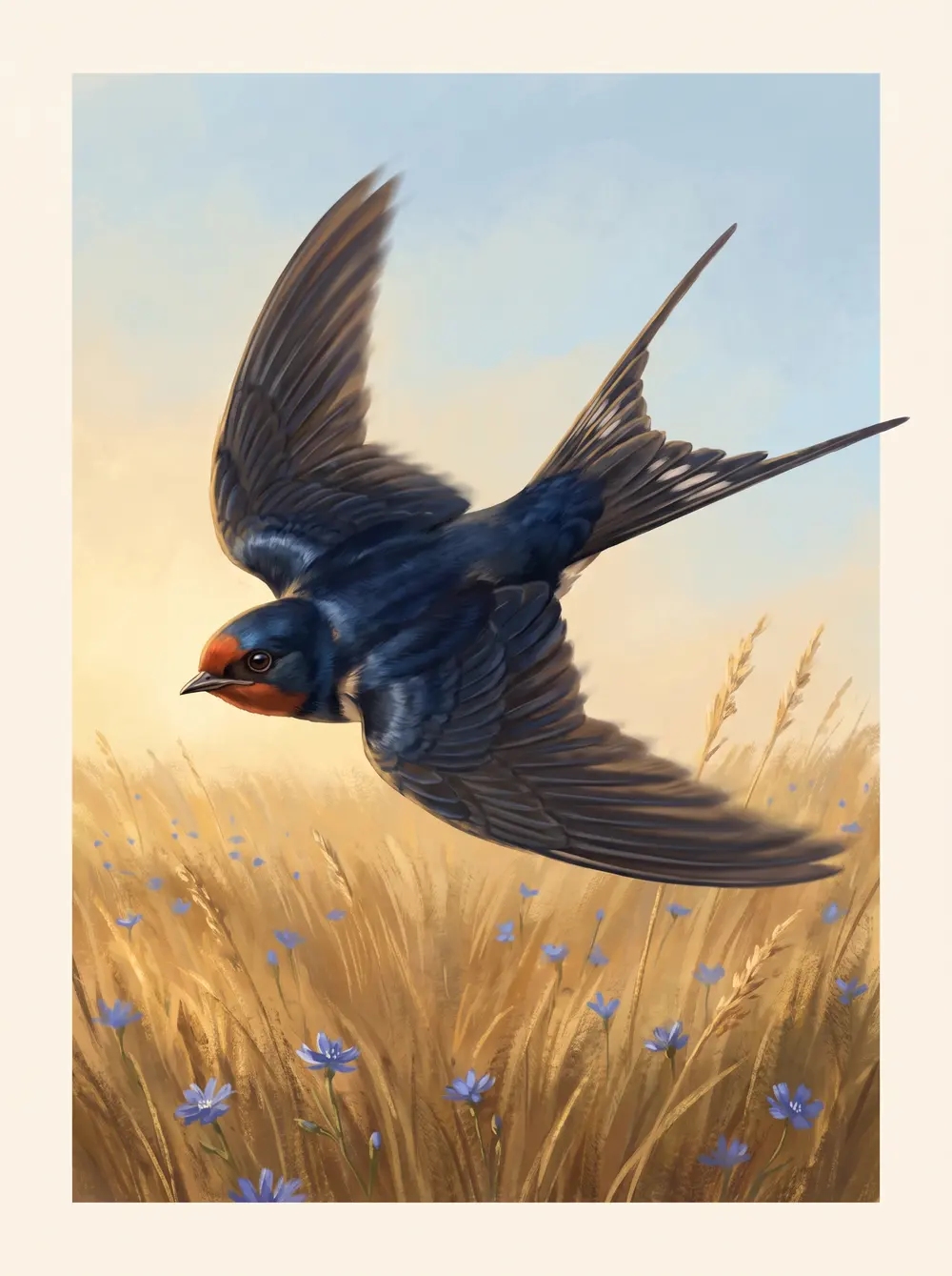 Swallow
