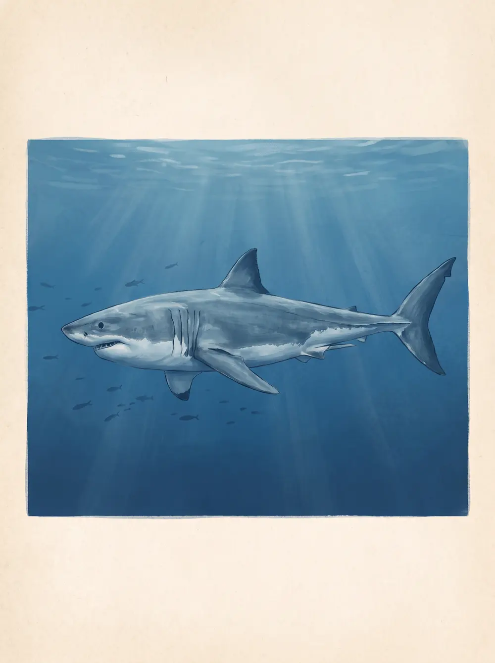 Great white shark