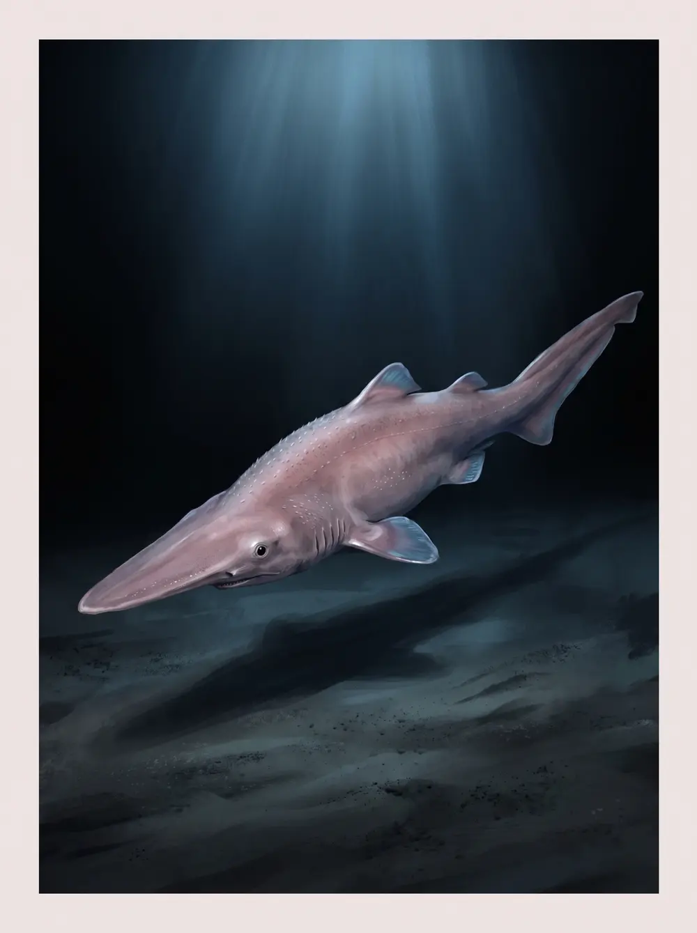 Goblin shark