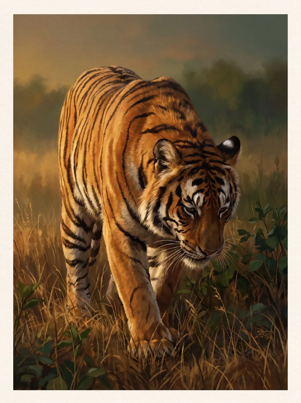 Tiger